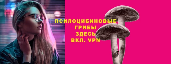 синтетический гашиш Белокуриха