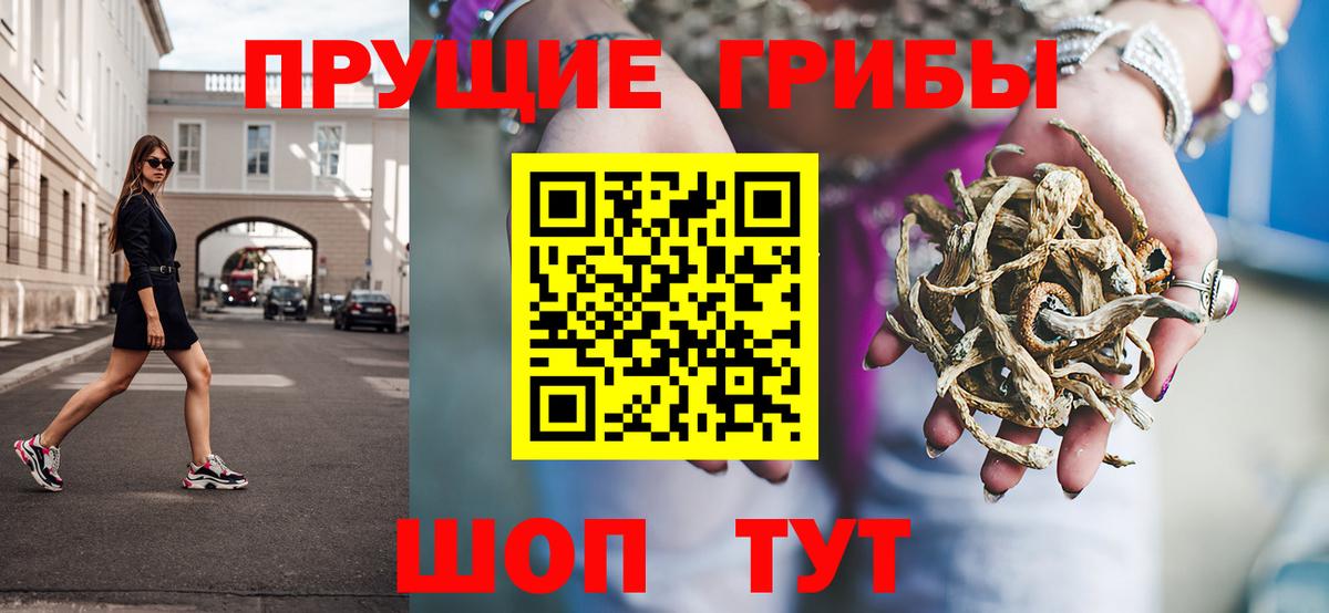 Галлюциногенные грибы Cubensis Бузулук
